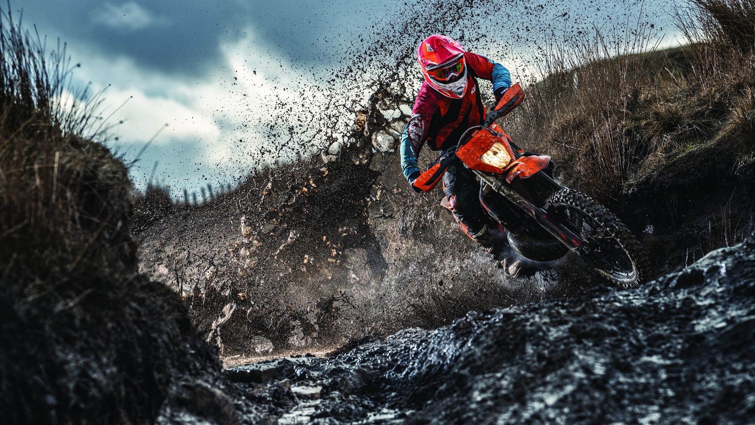 小巨人崛起：身材不高但技术出众的球员故事，小さな巨人